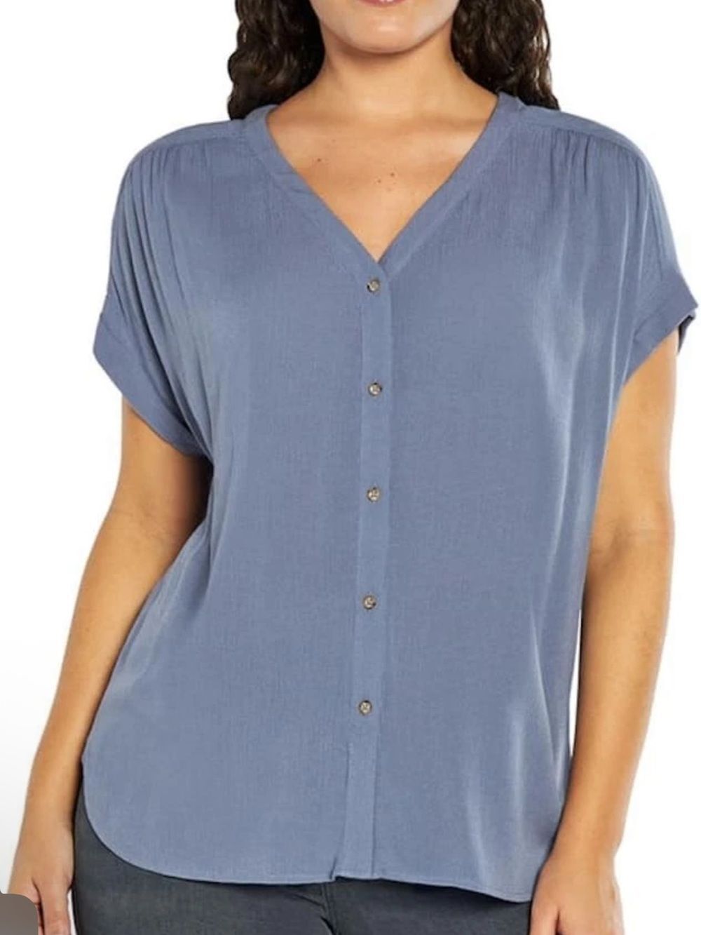Orvis Blue Button-Front V-Neck Short-Sleeve Blouse Size Small Oversized NWOT